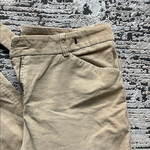 The Limited Corduroy Pants in Tan